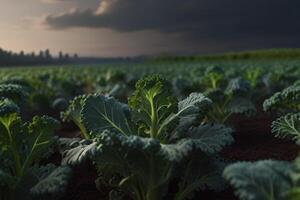 fresco verde e roxa couve plantas em mármore, orgânico vegetais foto