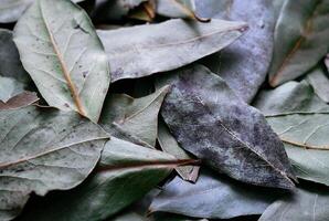 uma pilha do folhas com Castanho e verde folhas foto