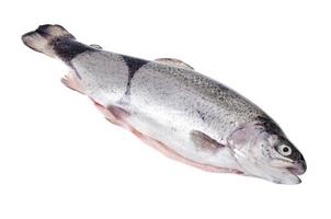 truta arco-íris descascada para cozinhar pratos de peixe no fundo branco. foto