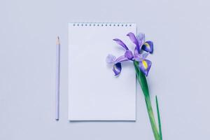caderno com em branco página, lápis e roxa íris flor em luz roxa fundo. foto