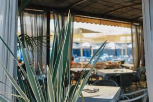 de praia cafeteria dentro uma verão ensolarado dia perto a velho Cidade do budva, Montenegro. foto