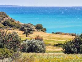 Campos do dourado Relva e verde árvores em Colina perto a azul Mediterrâneo mar às avdimou baía, Limassol, Chipre foto