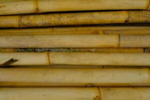 fundo fotografia. texturizado fundo. uma pilha do cachos do velho amarelo bambu. velho bambu é coletado em a lado do a estrada para construção construção. bandung, Indonésia foto