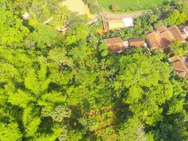 pássaro olho Visão do tropical floresta em a Beira do a cidade, floresta este funções Como uma água captação dentro a cidade do bandung, oeste Java Indonésia, Ásia. natural panorama. topo visualizar. aéreo tiro foto