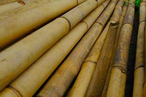 fundo fotografia. texturizado fundo. uma pilha do cachos do velho amarelo bambu. velho bambu é coletado em a lado do a estrada para construção construção. bandung, Indonésia foto