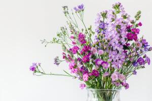 belas arranjado statice e Caspia flores dentro uma vaso. em uma branco fundo foto