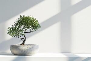 uma solitário bonsai árvore elegantemente plantado dentro uma cerâmico Panela. foto