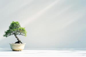 uma bonsai árvore plantado dentro uma organizado, minimalista Panela. foto