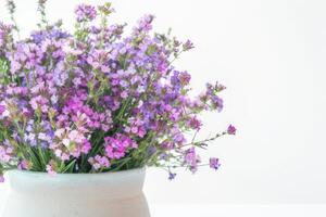 belas arranjado statice e Caspia flores dentro uma vaso. em uma branco fundo foto