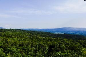 paisagem com árvores e nuvens foto