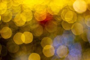 amarelo círculo bokeh dentro a Sombrio foto