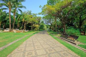 caminho dentro a parque em uma ensolarado dia foto