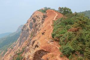 amarelo campo em topo do a montanha às monjong, Chiang maio, Tailândia foto