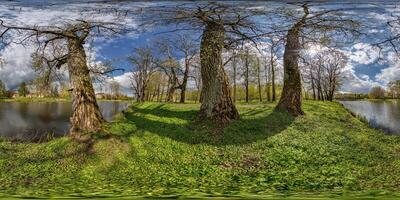 360 hdri panorama Visão em pedestre caminhando caminho entre álamo Arvoredo com desajeitado galhos perto lago dentro cheio desatado esférico equirretangular projeção com , pronto vr ar conten foto