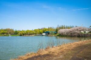 cenário do tsurumi ryokuchi parque localizado dentro Osaka cidade, kansai, Japão foto