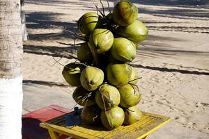 monte de cocos foto