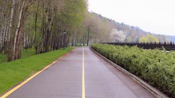 estrada de asfalto vazia com uma linha amarela na superfície da estrada para pistas separadas no parque de verão. foto