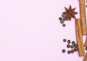 fundo de cozinha, anis estrelado com rolos de canela e pimentão foto