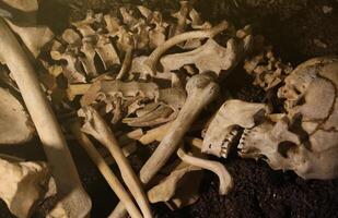 crânio e ossos cavado a partir de Cova dentro a assustador cemitério do prisioneiros foto