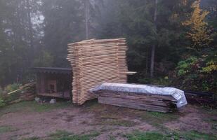 empilhado madeira pranchas ao ar livre dentro floresta área. industrial madeira para carpintaria construção reparação foto