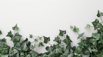 hera folhas criando uma verde inspirado na natureza parede com escalada plantar textura para uma fresco fundo foto