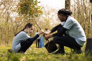 pequeno criança e dela colega plantio uma árvore dentro a floresta, voluntariado para participar às conservação projeto. dois meninas levando açao para reflorestamento, aumentar vegetação e restaurar natureza. foto