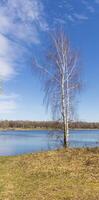 panorama tiro do a lago. ao ar livre foto