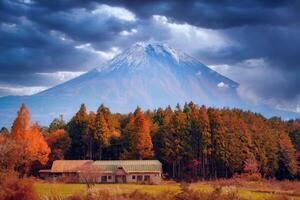 mt. Fuji em azul céu fundo com outono folhagem às dia dentro fujikawaguchiko, Japão. foto