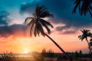 silhueta coqueiros na praia ao pôr do sol. tom vintage. foto