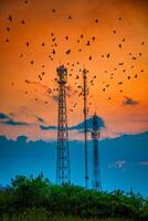 silhueta telecomunicações antena para Móvel telefone às pôr do sol foto