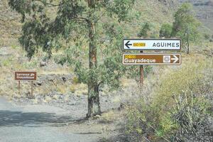 Maravilhoso cantos do vovó canaria, maspalomas, roque nublo, las palmas, porto mogan, mirador del varanda, e playa de amadores foto