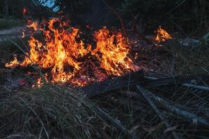 a fogo é queimando a folha fragmentos dentro a floresta. foto