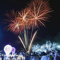 a colorida exibição do fogos de artifício comemora a Diversão e felicidade do a noite. foto