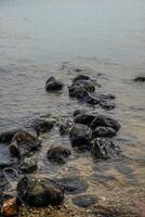 pedras em a Beira do a mar para pausa a ondas. foto