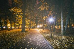 noite parque dentro outono com caído amarelo folhas.cidade noite parque dentro dourado outono com lanternas, caído amarelo folhas e bordo árvores vintage filme estética. foto