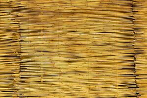 textura do oriental bambu cortinas. abstrato fundo. foto