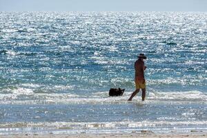 beira-mar passear com animal foto