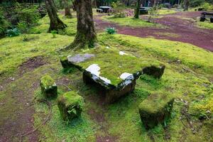 pedra piquenique mesas e bancos coberto dentro musgo, cercado de árvores dentro uma piquenique área em terceira ilha, Açores. foto