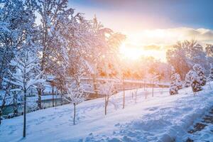 pôr do sol ou alvorecer dentro uma inverno cidade parque com árvores coberto com neve e gelo. foto