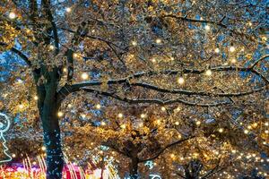 uma árvore decorado com festivo guirlandas com luminoso lâmpadas contra a fundo do a noite céu. foto