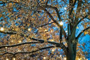 uma árvore decorado com festivo guirlandas com luminoso lâmpadas contra a fundo do a noite céu. foto