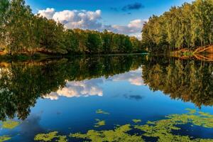 pôr do sol ou alvorecer em uma lagoa com bétula árvores ao longo a bancos e uma nublado céu refletido dentro a água. foto