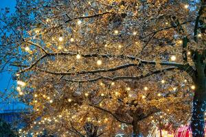 uma árvore decorado com festivo guirlandas com luminoso lâmpadas contra a fundo do a noite céu. foto