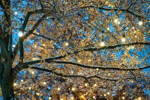 uma árvore decorado com festivo guirlandas com luminoso lâmpadas contra a fundo do a noite céu. foto