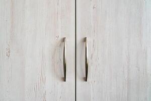 fechadas gabinete portas dentro madeira com metal alças. foto