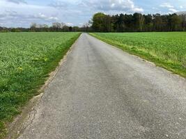 esvaziar caminho através Campos e prados foto