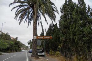 Maravilhoso cantos do vovó canaria, maspalomas, roque nublo, las palmas, porto mogan, mirador del varanda, e playa de amadores foto