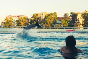 fêmea turista dentro piscina Assistir golfinho saltar para água dentro delfinário dentro aberto ar piscina dentro batumi foto