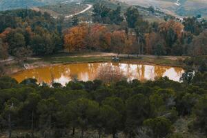 a Castanho lago foto