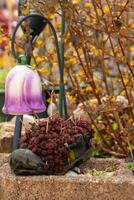 sapato Como uma flor Panela para decoração dentro a jardim foto